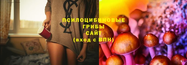 прущий лед Армянск